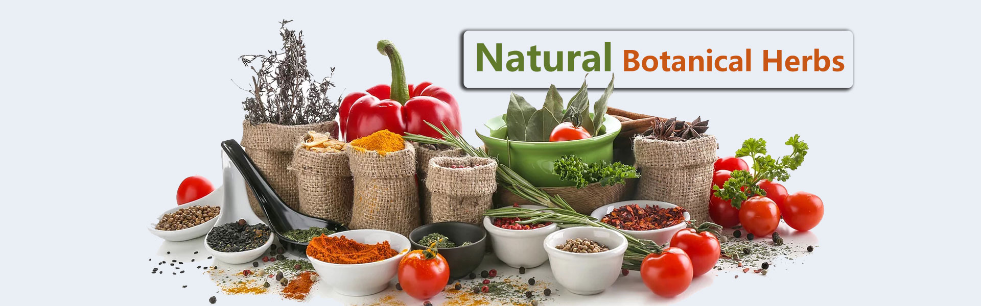 Dietary Supplements Wholesale & Contract Manufacturing