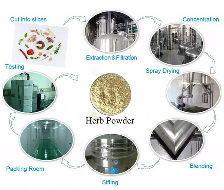 KNH Biotech Co., Ltd. automated botanical extraction facility