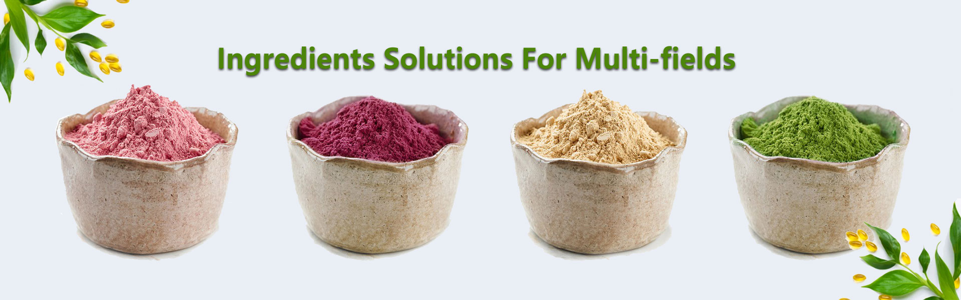 Plantbased Ingredients - KNH Biotech Co., Ltd.