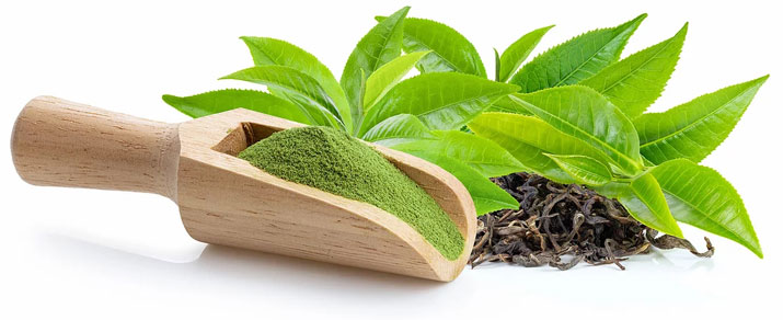 KNH Biotech Co., Ltd. Manufacturing Plant Overview