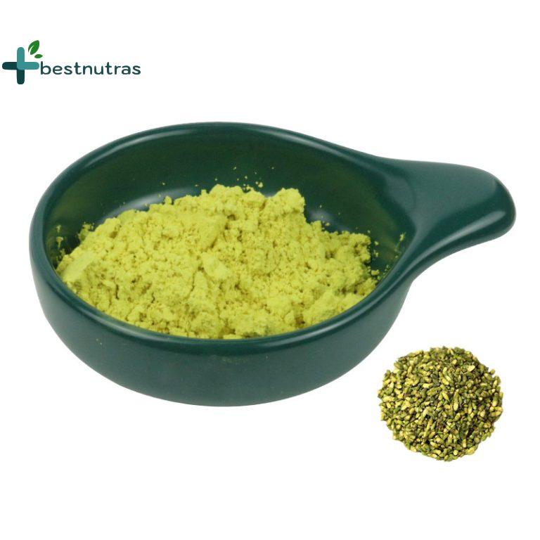 Wild Blueberry Powder — KNH Biotech Co., Ltd.
