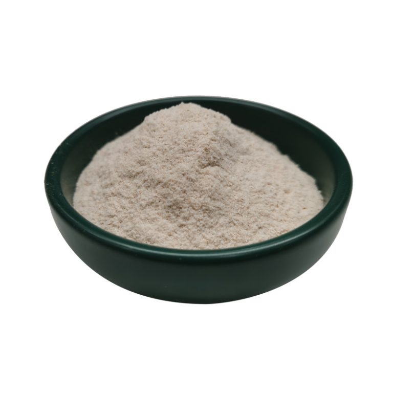 Psyllium Husk Powder Wholesale — KNH Biotech Co., Ltd.